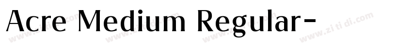 Acre Medium Regular字体转换